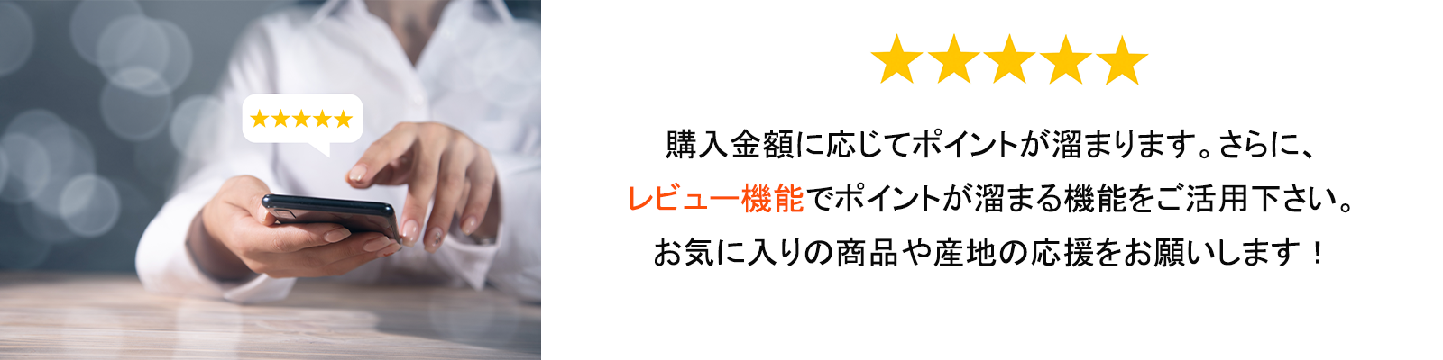 ポイント&レビュー機能