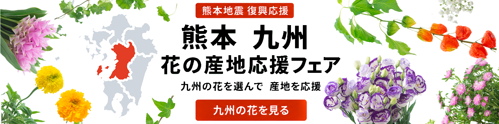 熊本・九州の花を選んで復興応援